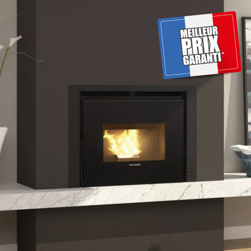 Insert A Granule De Bois Prix