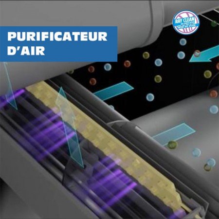 purificateur d'air ray clean Linea VZ Élimine 99,9 % des virus et bactéries