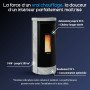 Poêle à Granulés Étanche 9 kW Debby