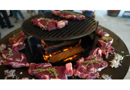 Comment Choisir un Brasero Plancha : Guide Complet 2025
